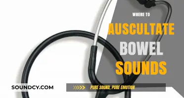 Mastering Auscultation: Optimal Locations for Bowel Sound Assessment
