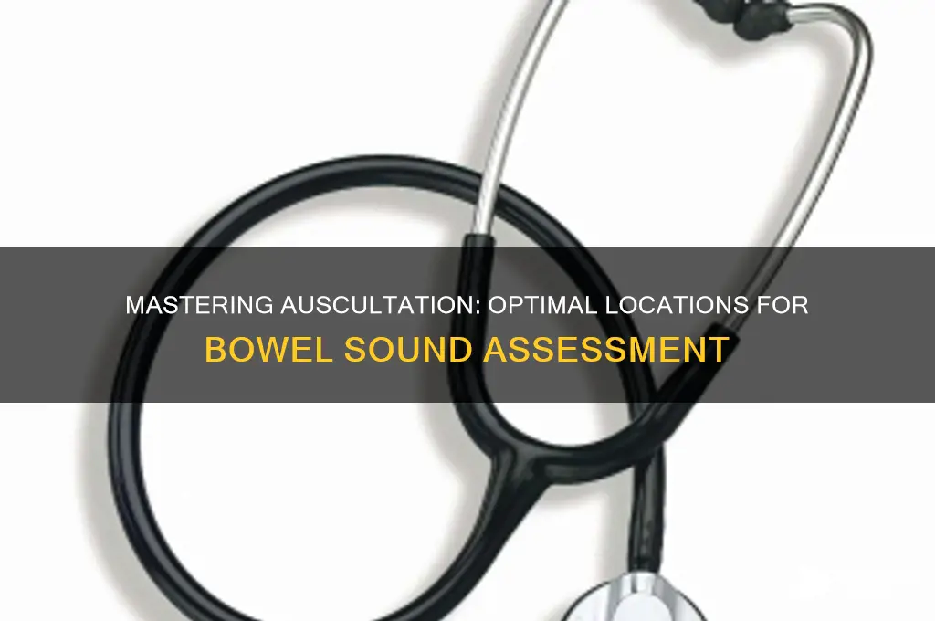 where to auscultate bowel sounds
