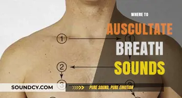 Mastering Auscultation: Key Locations to Assess Breath Sounds Effectively