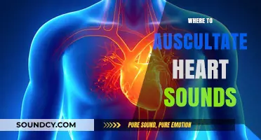 Mastering Auscultation: Key Locations for Accurate Heart Sound Assessment