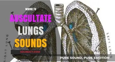 Mastering Lung Auscultation: Key Locations for Accurate Breath Sounds