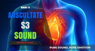 Locating the S3 Heart Sound: Auscultation Sites and Techniques