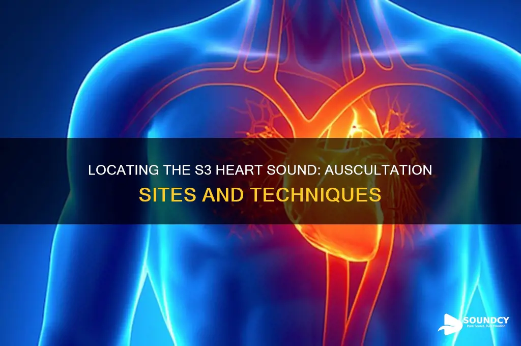 where to auscultate s3 sound