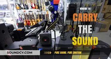 Where to Carry the Sound: Best Locations for Optimal Audio Experience