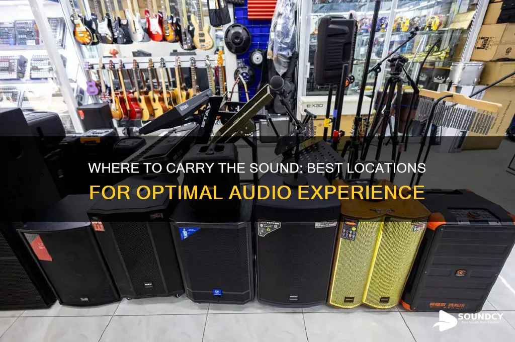 where to carry the sound