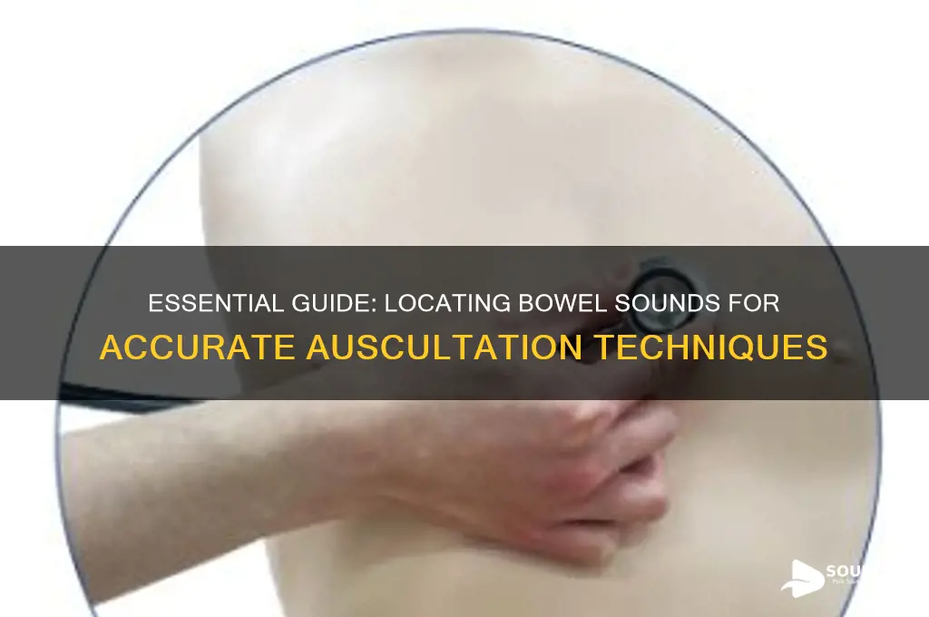 where to check bowel sounds