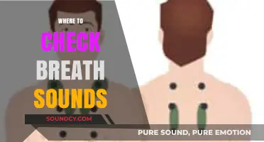 Essential Locations for Accurate Breath Sound Assessment in Clinical Practice