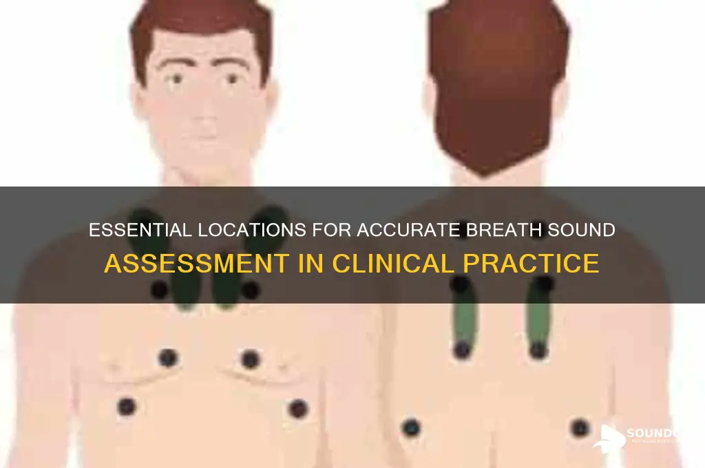 where to check breath sounds