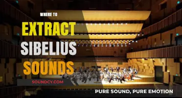Discover the Best Sources to Extract Sibelius Sounds Easily