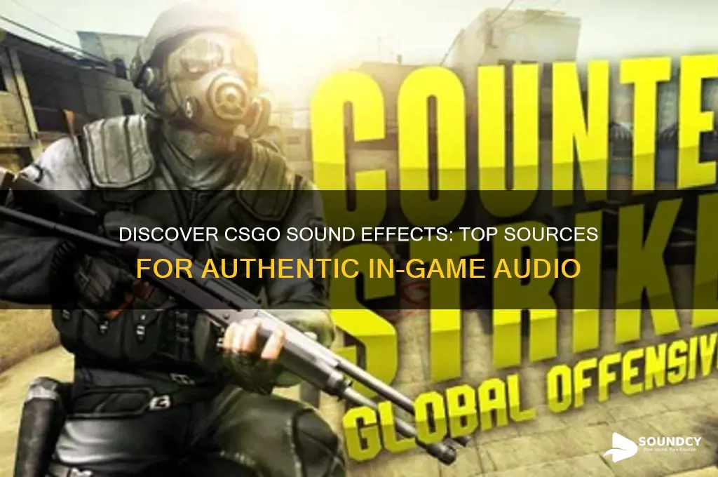 where to find csgo sounds