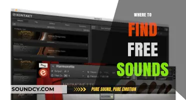 Discover Free Sounds: Top Online Resources for Creative Projects