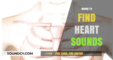 Locating Heart Sounds: Essential Auscultation Sites for Accurate Diagnosis