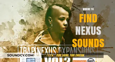 Discover Nexus Sounds: Top Sources for Unique Audio Samples