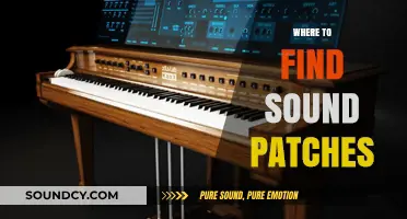 Discover Unique Sound Patches: Top Sources for Music Producers
