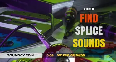 Discover Splice Sounds: Top Sources for Quality Samples and Packs