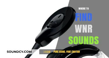 Discover WNR Sounds: Top Sources for Authentic Audio Downloads