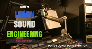 Top Sound Engineering Schools and Online Resources for Aspiring Audio Pros