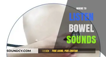 Mastering Auscultation: Optimal Locations to Listen for Bowel Sounds