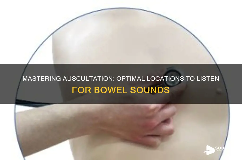 where to listen bowel sounds