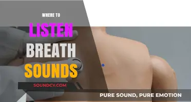 Mastering Auscultation: Optimal Locations to Listen for Breath Sounds