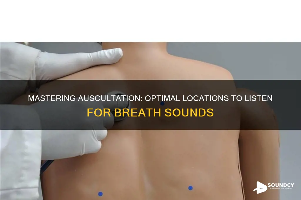 where to listen breath sounds