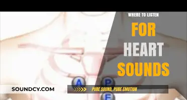 Stethoscope Placement: Heart Sounds