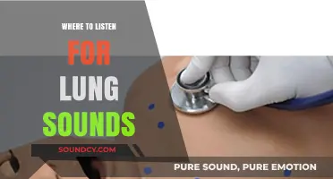 Lung Sounds: Where to Place Your Stethoscope