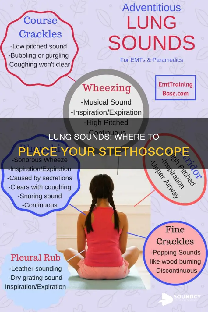 where to listen for lung sounds