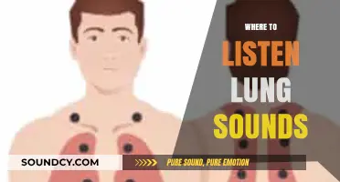 Where to Listen for Lung Sounds: Essential Auscultation Locations