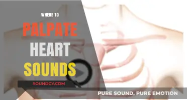 Mastering Heart Sound Palpation: Key Locations for Accurate Auscultation