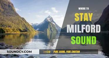 Best Milford Sound Accommodations: Top Stays for an Unforgettable Adventure