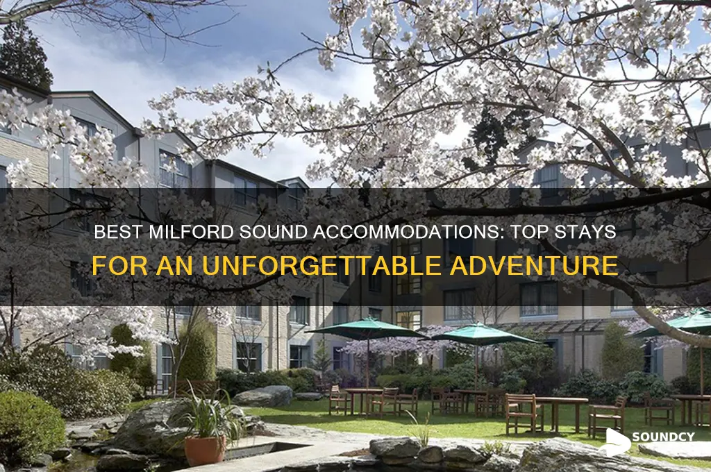 where to stay milford sound