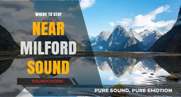 Explore Milford Sound: Best Places to Stay