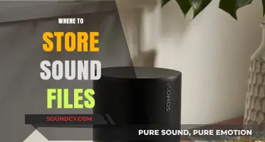 Best Practices for Storing and Organizing Your Sound Files Efficiently