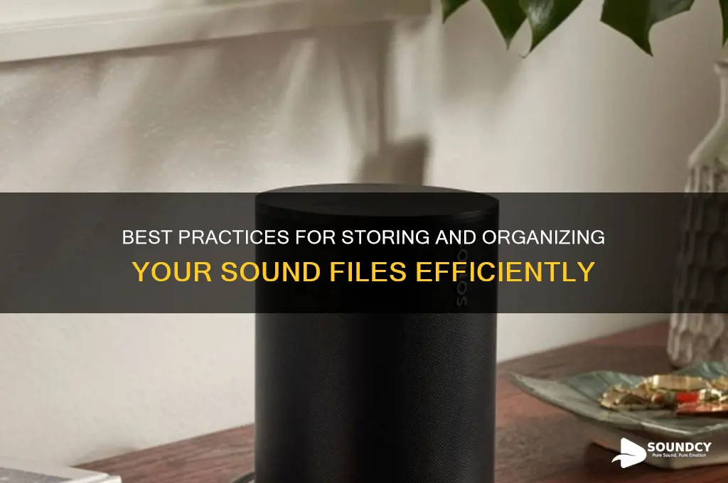 where to store sound files