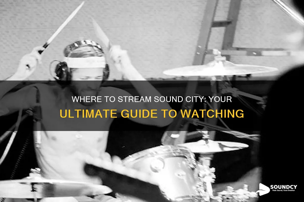 where to stream sound city