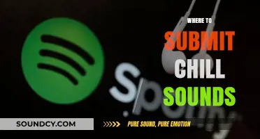 Discover the Best Platforms to Share Your Chill Sounds Online