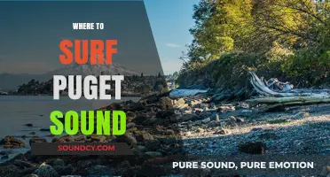 Discover Puget Sound's Best Surf Spots: A Local's Guide