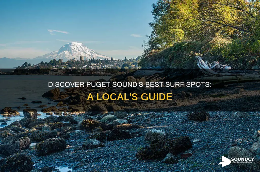 where to surf puget sound