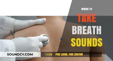 Mastering Auscultation: Optimal Locations for Accurate Breath Sound Assessment