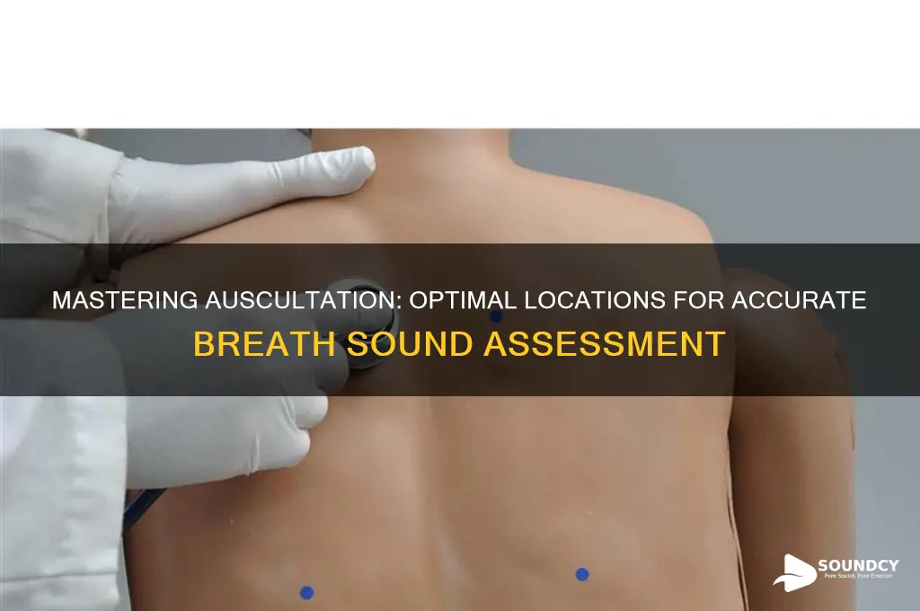 where to take breath sounds