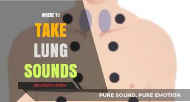 Mastering Lung Auscultation: Optimal Locations for Accurate Sound Assessment