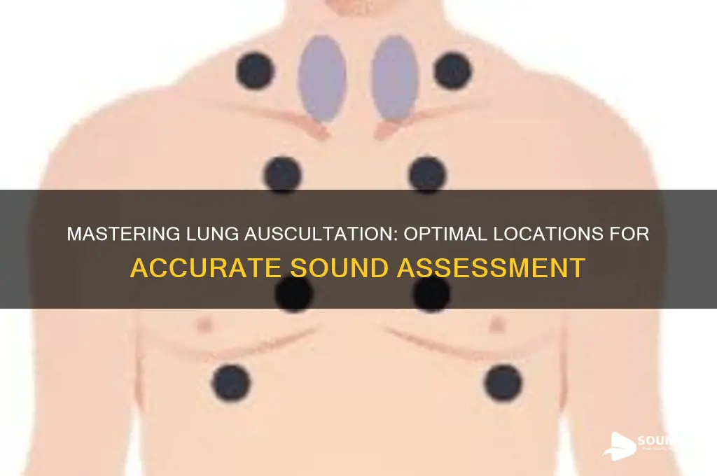 where to take lung sounds