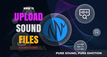 Best Platforms to Upload and Share Your Sound Files Online