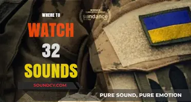 Discover the Best Platforms to Stream '32 Sounds' Online