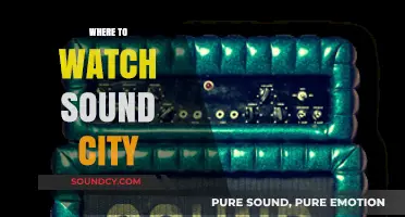 Discover the Best Platforms to Stream Sound City Online