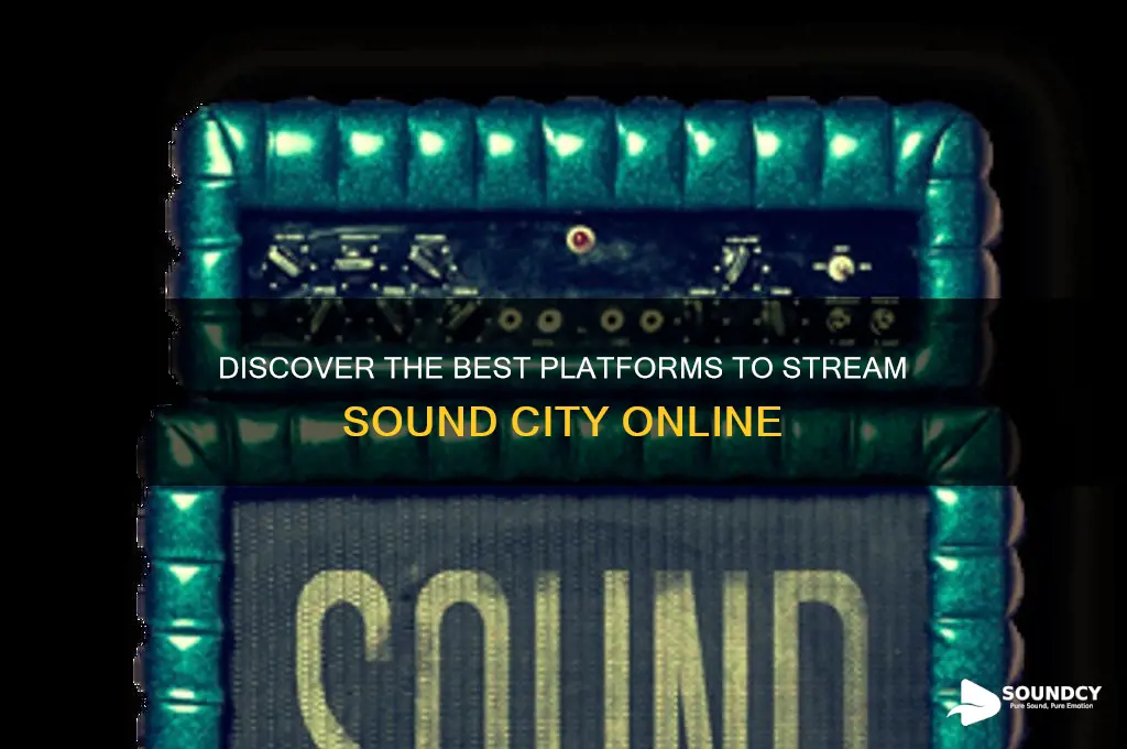 where to watch sound city