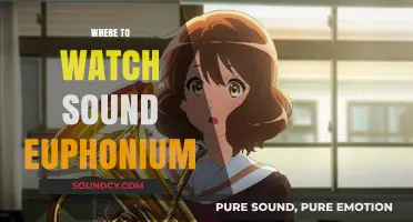Where to Watch Sound! Euphonium: Streaming Guide for Anime Fans