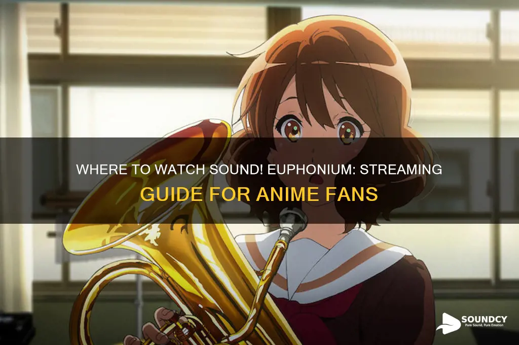where to watch sound euphonium