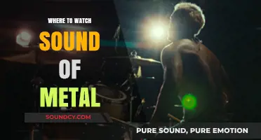 Streaming 'Sound of Metal': Where to Watch?